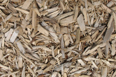 biomass boilers Cirbhig